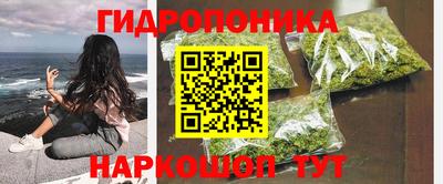 амф Краснознаменск