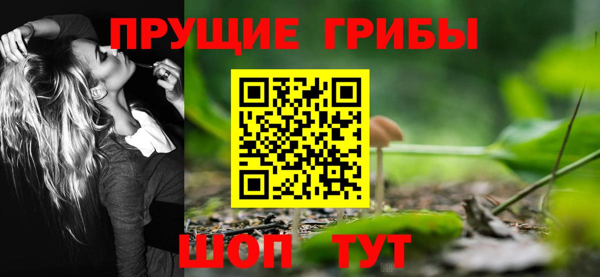 Куйбышев  Галлюциногенные грибы Psilocybe  Вход с VPN  Галлюциногенные грибы Psilocybine cubensis 